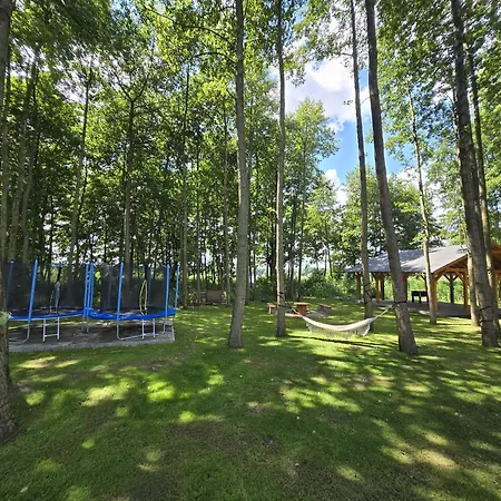 Feriehus Pod Olchowym Dachem Lubie